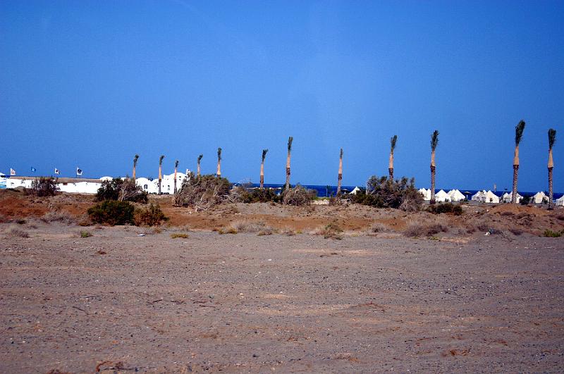 Coll EG 001.JPG